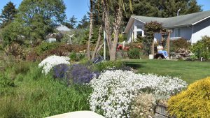 Border garden in the foreground, woman sitting under an arbor with white house in the background
