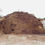 manure-pile-pic