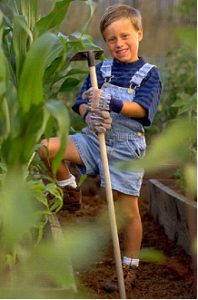 Young boy posing with a hoe in the garden