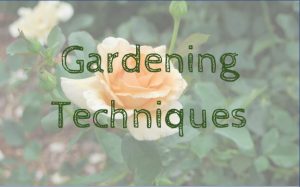gardening techniques logo image