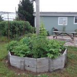 South Bend Octagon bed