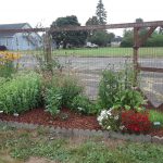 South Bend Pollinator Bed